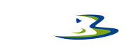Logo de Birspark